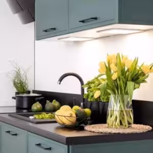 Obrazek Szafka Kuchenna Emily D45 PL zielona mat