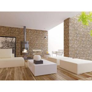 Obrazek Kamień gresowy Ribassos nature 32/47,5