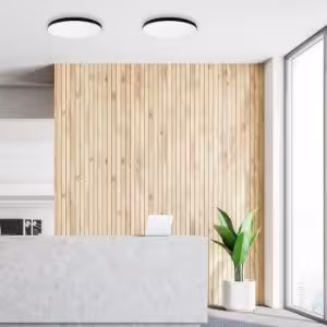 Obrazek Plafon Sierra Black EK77852 18W SKY PL1