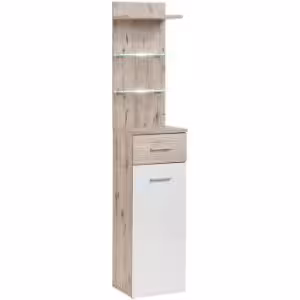 Obrazek Szafka Gustawo TYPB+C Dąb Wellington/biały