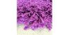 Obrazek Dywan Shaggy Dream 0,6/1,1 6228 Lila