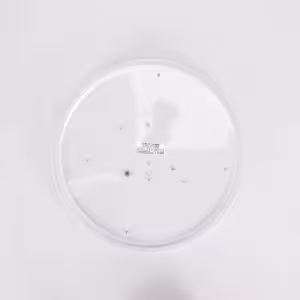 Obrazek Plafon Opera Led C 24w 4000k 03635 Pl