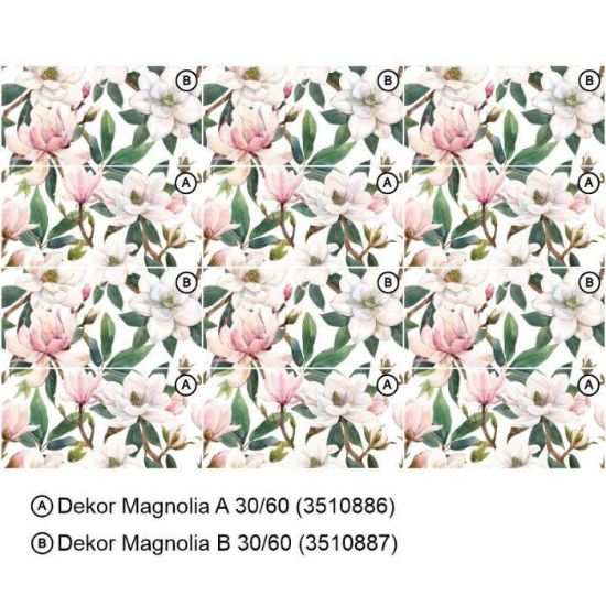 Obrazek Dekor Magnolia B 30/60 