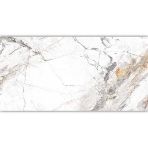 Obrazek Gres Invisible Marble Grey 60/120