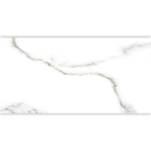 Obrazek Gres Cararra pol. Rekt. 60/120