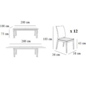Obrazek Zestaw stół i krzesła Daniel 2 1+12