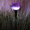 Obrazek Lampa Solarna "TULIPANY" LED
