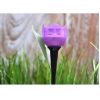 Obrazek Lampa Solarna "TULIPANY" LED