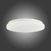 Obrazek Plafon LED EK75311 33cm 13W