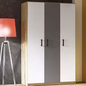 Obrazek Szafa Fini 02 dąb artisan/biały/antracyt