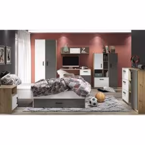 Obrazek Szafa Fini 02 dąb artisan/biały/antracyt