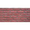 Obrazek Kamień Betonowy Brick Classic Red