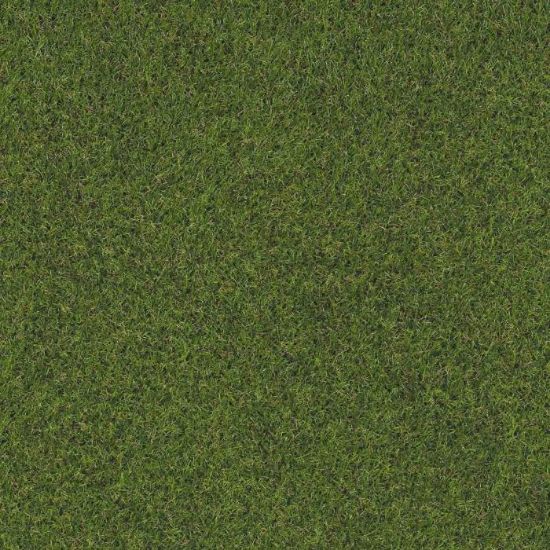 Obrazek Sztuczna trawa Prado - rolka 100x200cm
