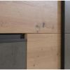 Obrazek Szafa Winn 2 200 cm Dąb Artisan/Beton