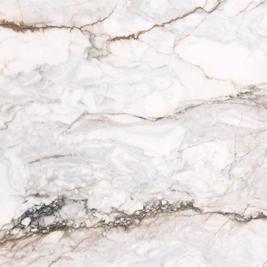 Obrazek Gres Pisa gold 120/120