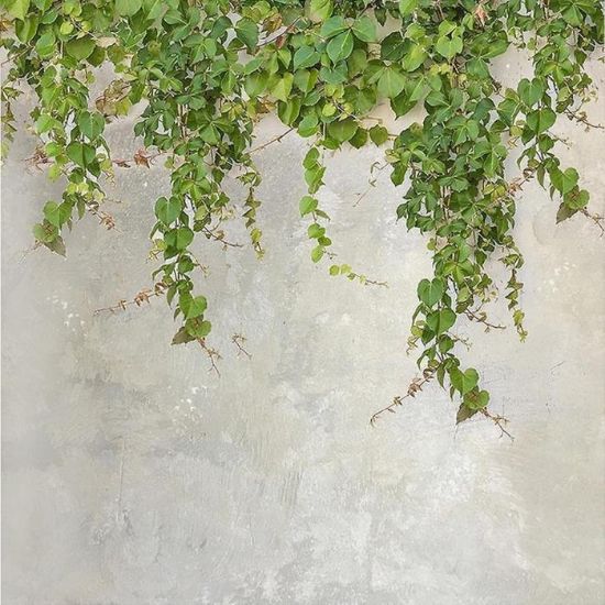 Obrazek Panel szklany 60/60 Cement Ivy-2 Esg
