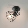 Obrazek Lampa Alano Black 2120 LS1