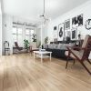 Obrazek Panel podłogowy Dąb Warmia 10 mm AC4 Progres 4566