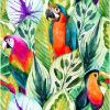 Obrazek Panel szklany 60/60 Jungle Birds-1 Esg