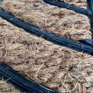 Obrazek Wycieraczka Panama Pbj 242