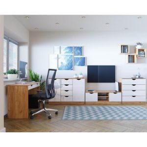 Obrazek Szafka RTV Tymeo 2d D.Craft Złoty/Biały Połysk