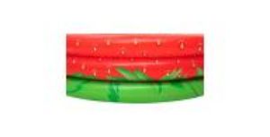 Obrazek Basen dziecięcy truskawka 160x38cm 51145