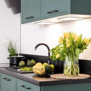 Obrazek Szafka Kuchenna Emily D30 PL zielona mat