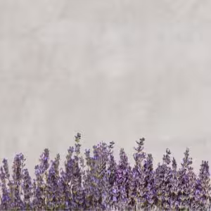 Obrazek Panel szklany 60/60 Concrete Lavenda Esg