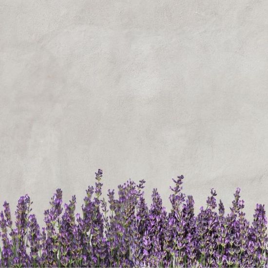 Obrazek Panel szklany 60/60 Concrete Lavenda Esg