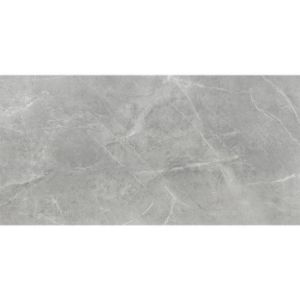 Obrazek Gres Ambrosio Gris 119,7/59,7