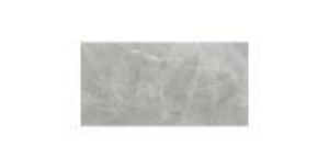 Obrazek Gres Ambrosio Gris 119,7/59,7
