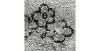 Obrazek Dywan wiskozowy Mahhad 0,8/1,5 84475 srebrny/antracyt