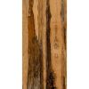 Obrazek Gres Burningwood hdr wood 60/120 