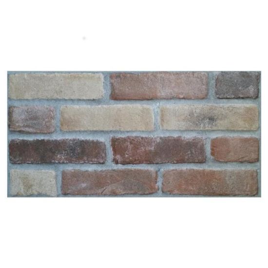 Obrazek Kamień gresowy Brick mix 31/62