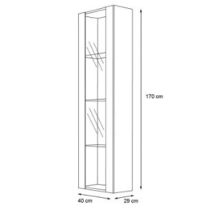 Obrazek Witryna Fly 41+Szkło Czarny+LED
