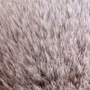 Obrazek Dywan Emotion 0,8/1,5 EMO 500 Różowy