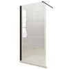 Obrazek Ścianka WALK-IN Fiord 100x195 czarny profil