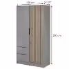 Obrazek Szafa Nelly 2d Szary/Lamela Artisan