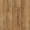 Obrazek Wzornik panela podłogowego Dąb Denver 8mm AC5 Elite 48268