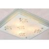 Obrazek Plafon 48310-3F KW P420