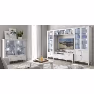 Obrazek Witryna wysoka 1W1S Ole