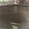 Obrazek Trampolina Comfort z drabinką 427cm zielona 