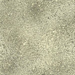 Obrazek Panel szklany 60/60 Golden Esg