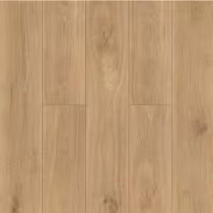 Obrazek Panele podłogowe Dąb Monaco 8mm AC5 Room 4917