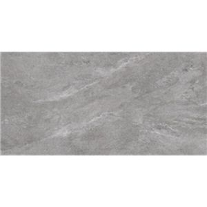 Obrazek Gres Tierra Grey 60/120