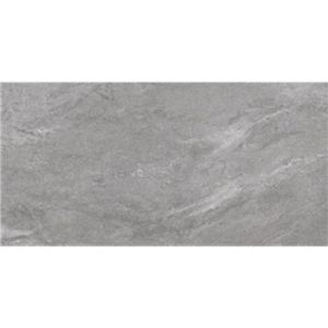 Obrazek Gres Tierra Grey 60/120