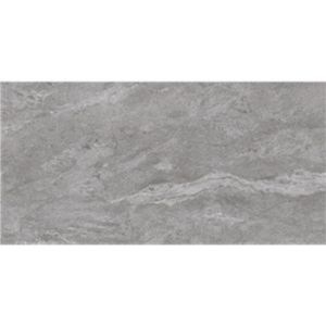 Obrazek Gres Tierra Grey 60/120