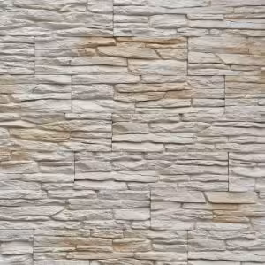 Obrazek Kamień Gipsowy Barbados 2