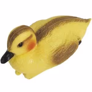 Obrazek Kaczątko 36863