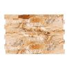 Obrazek Kamień gresowy Andes tierra 32/48